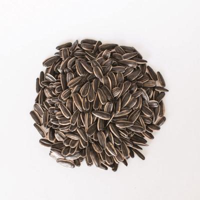 China Raw Inner Mongolia Cultivation Competitive Price 361 Raw Sunflower Seeds for sale