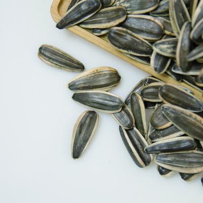 China High quality new crop raw sunflower seeds 361 with factory price for sale