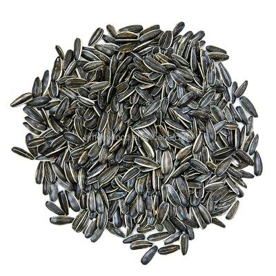 China Dry Chinese Raw Black Sunflower Seeds 3638 Export To Vietnam With Competitive Price for sale