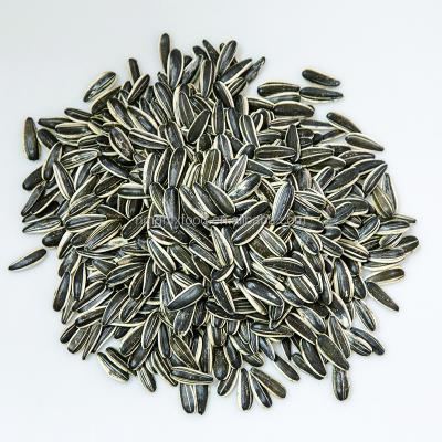 China Competitive Price Good Quality Dried Raw Black Striped Sunflower Seed 601 For Export for sale