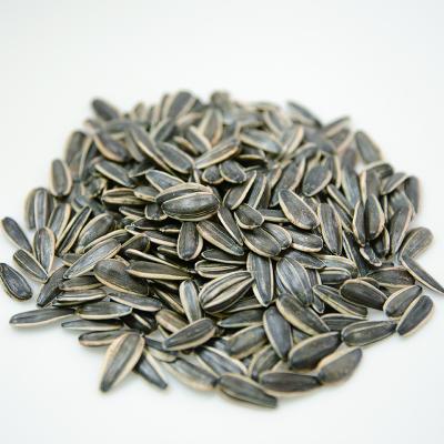 China Good quality raw chinese agriculture dry black sunflower seeds 361 with factory price for sale