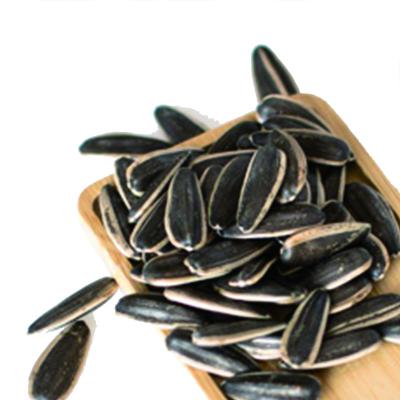 China Inner Mongolia Dried Premium Long Shape Consumption Seeds Human Sunflower for sale