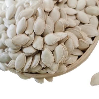 China Good China Style Dried Dry Pumpkin Seed in Inner Mongolia Porcelain Shell for sale