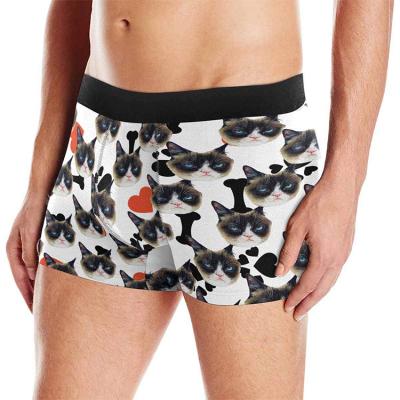 China Dropshipping Custom Face Printed Skin-friendly Mens Underwear Men's Breathable Boxer Briefs 3d for sale