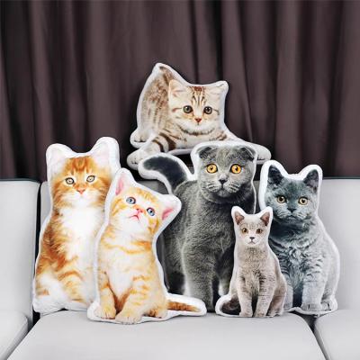 China Promotion Price Inflatable Pillow For Kids Throw Blanket With Photos Custom Printing Perfect Gift for sale