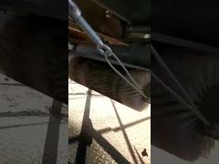 Nylon Cylinder Brush For Food Processing, Road Sweeping, Conveyor Cleaning