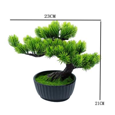 China Minimalist Artificial Small Green Plant Bonsai Trees With Cement Pot for sale