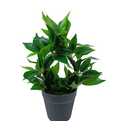 China Minimalist Plastic Greenery Plants Artificial Tree in Pots for Home Decor for sale