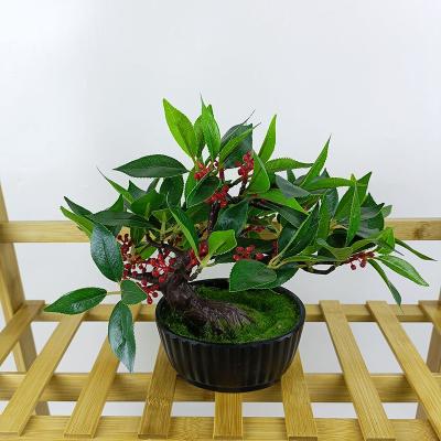 China Minimalist Artificial Small Green Plant Bonsai Trees With Cement Pot for sale