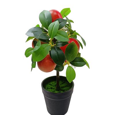 China Postmodern manufacturers wholesale hot sale mini real touch indoor artificial bonsai fruit bonsai ornaments orange apple tree other for sale