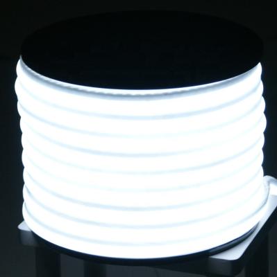 China LANDSCAPE CE and ROHS 12v led neon rope light with white jacket made in China factory for sale