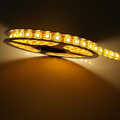 China Color/7 mono colors and colors changing/1400 types changing 12V, 3528 yellow flexible neon led string lights for outdoor and indoor use for sale