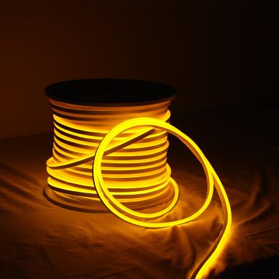 China LANDSCAPE Drop Shipping 12 Volt Neon Led Neon Lights 2835 Flex Strip for sale