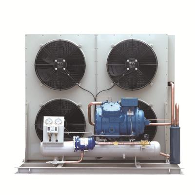 China Single-Temperature Hot Sale Company Direct Compressor Evaporator Cold Room Condensing Unit for sale