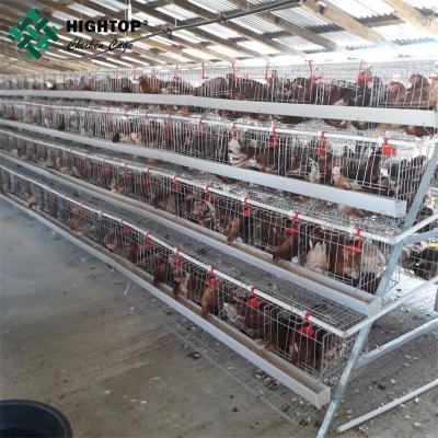 Cina 3 tier egg chicken poultry layer cages with manure collection belt in vendita