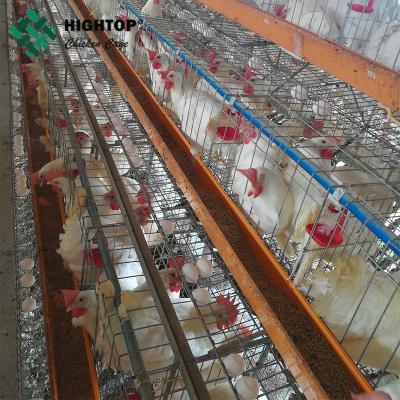 Cina Wholesale Hot-dip Galvanized A Type Chicken Layer Egg Chicken Cages Poultry Farm in vendita