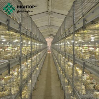 China automatic h style poultry broiler farm cages for sale