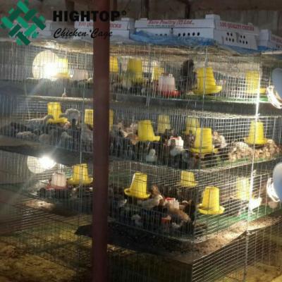 China A Type Hot galvanized battery 3 layer chicken baby chick cage for sale system for sale