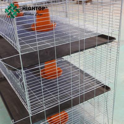 China China manufacturers pullet chicken baby cage for sale