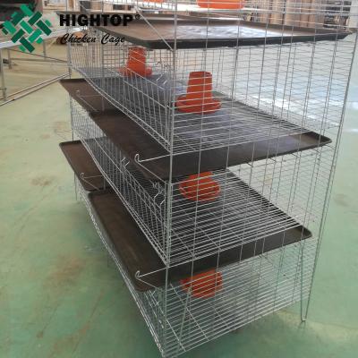 Cina China Factory baby pullet rearing chick cage in vendita