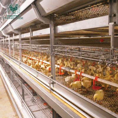 Cina Durable in use chicken breeding brooder cage of chickens in vendita