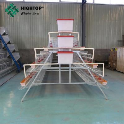 Cina chicken laying wire cage bird system in vendita