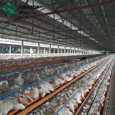 China Poultry farm house A type layer galvanized welded wire mesh egg chicken cage zu verkaufen