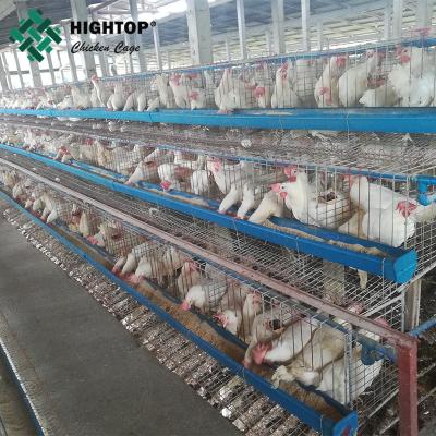 Cina 4 Tier 1000 Bird Poultry Farming Hot Dip Galvanized Battery Layer Chicken Cages in vendita