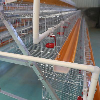 China zambia automatic drinker feeder galvanized chicken cages egg layer zu verkaufen