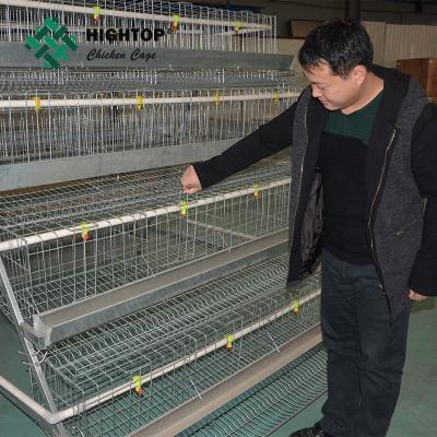 China Hot Dipped Galvanized Poultry Farm Battery Breeding Egg Layer Chicken Cage Te koop