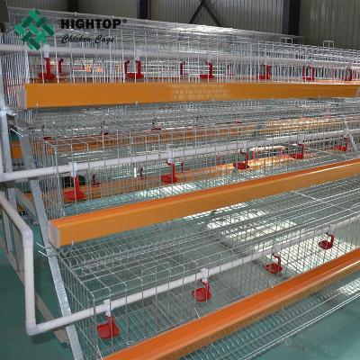 Cina anti-rust A type welded wire mesh chicken Layer cage in vendita