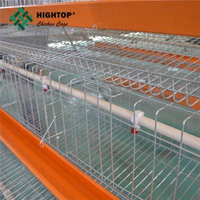 China poultry farm house design egg chicken poultry farm 5000 chicken hen battery cage for sale