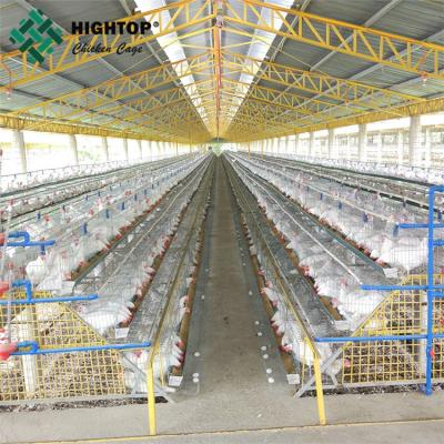 China A type layer chicken cages for modern fully automatic poultry farms for sale