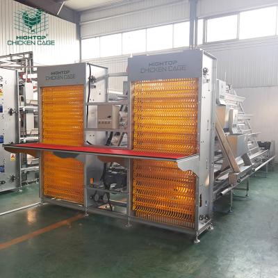 중국 Fully Automatic Hot Galvanized Chicken Layer Cage System For Poultry Farming In Tanzania 판매용