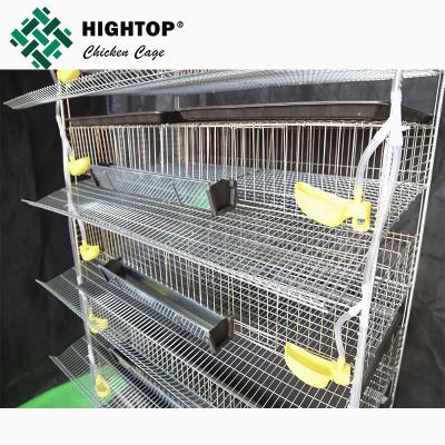 China Factory hot-sale high quality wire mesh quail cages for sale in poultry farm en venta