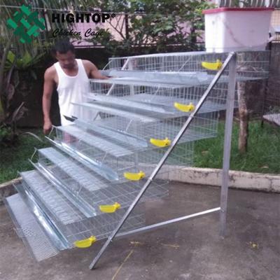 China wholesale commercial quail laying cage and water system for sale