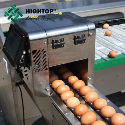 China stainless steel used eggs grader sorting equipment for sale