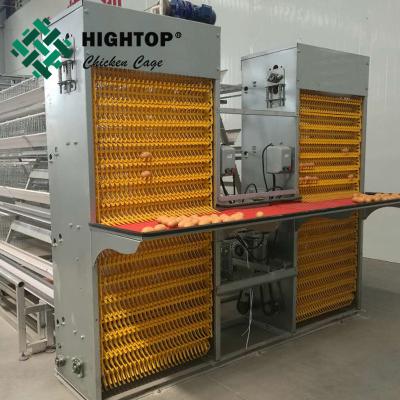 Китай Automatic egg collection system for large scale layer poultry farm продается