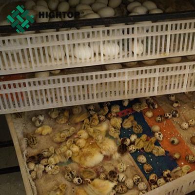 China china supplier new hot plastic 12 eggs pulp beer tray forming making machine price for sale