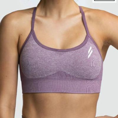 China Breathable Back Rimless Back Bra Gym Wear Yoga Top Double Layer Mesh Sports Underwear Vest Women for sale