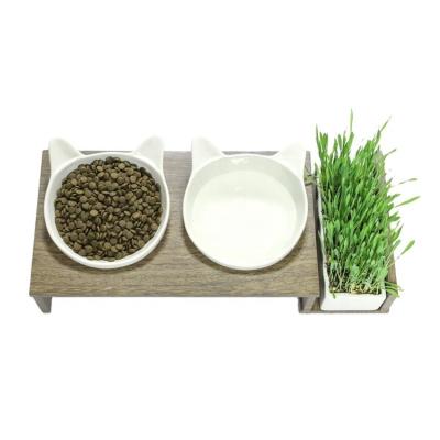 China New Designer Unique Style Ceramic Cat Food Bowl With Wood Nipple Stand Viable Ceramic Pet Bowl for sale