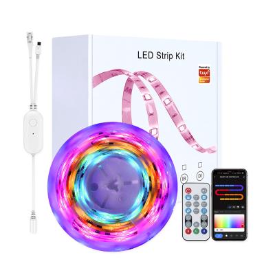 China Smart Remote Control LANDSCAPE Strip Light RGB Color Music Function Led Strip Light For Room Decor for sale