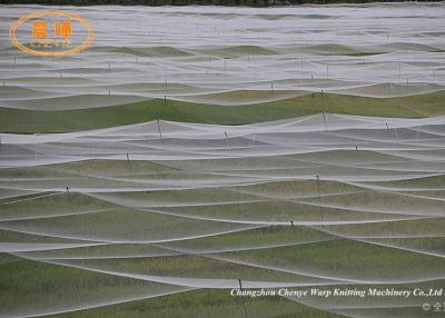 Cina Macchina per la fabbricazione la rete del mare profondo e del telaio d'alimentazione della rete da pesca dell'azienda agricola in vendita