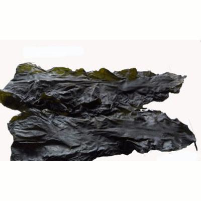 China New dried dry kombu seaweed roasted seaweed in bag for sale