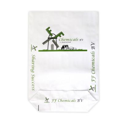 China Recyclable Custom Design 20kg WPP Chemical Bags PP Woven Sack Empty PP Bags 25 Kg for sale