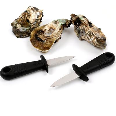 China Amazon Success Hot Selling Stocked Oyster Shelling Knife Clam Shellfish Seafood Opener Tools Stainless Steel Oyster Knife for sale