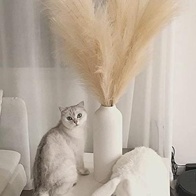 China Artificial Bulk Artificial Pampas Grass Home Decor Faux Pampas Large Fluffy Stalks Pampas Grass for sale