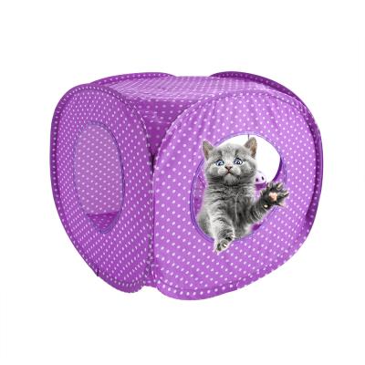 China 2021 viable new cat toy set cat tent a variety of combination pet toy cat supplies for sale