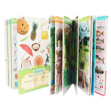 China paper & Cardboard Children's Books Printing Service Professional Custom Color Hardcover Book Printing for sale