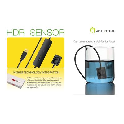 China HOT SALE Cheap Dental HDR X-ray Digital Sensor,Dental Digital Dental x ray sensor rvg HDR-500 sensor for sale